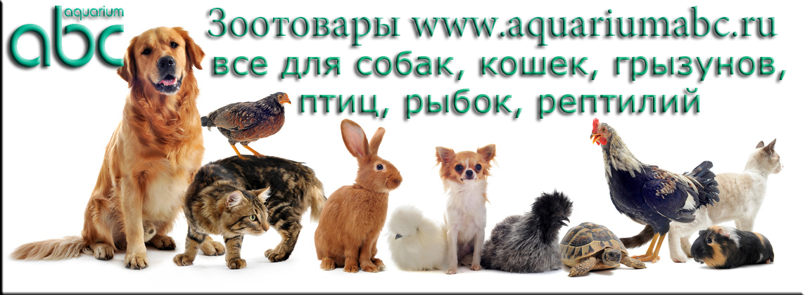 Зоомагазин специализируется на продаже самых разных товаров и аксессуаров по следующим направлениям:
аквариумистика, кошки-собаки, все для рептилий, грызунов и птиц.  г. Санкт-Петербург.
